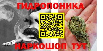 СК Тулун