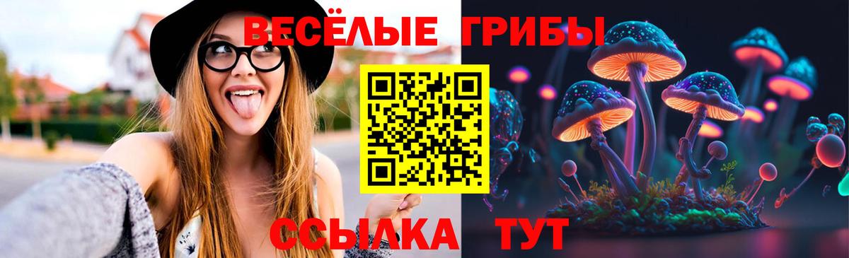 Псилоцибиновые грибы Cubensis  Псилоцибиновые грибы прущие грибы  Вход с VPN  Осинники 